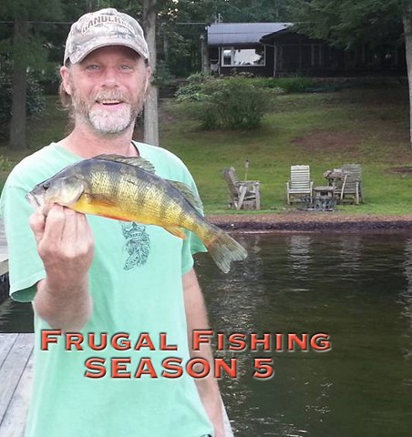 yellow perch yellow perch