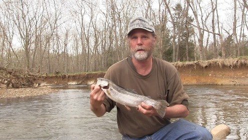 rainbow trout