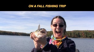 walleye