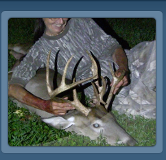 Whitetail deer, Buck 14 points non-typical buck