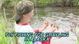 grayling