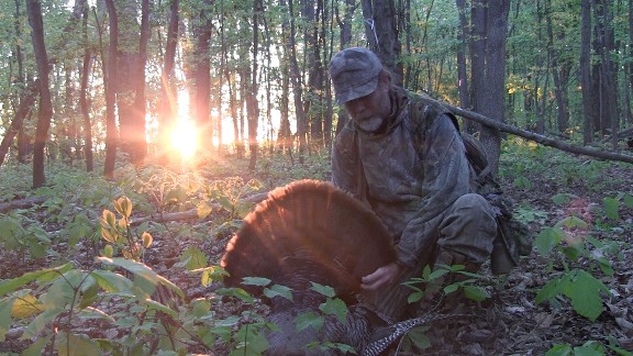 turkey, wild turkey camochairproductions