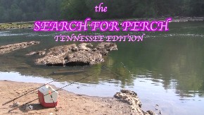 camochairproductions