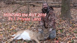 hunting the whitetail rut
