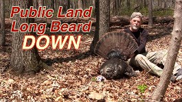 turkey hunting, public land turkey hunting, camochairproductions