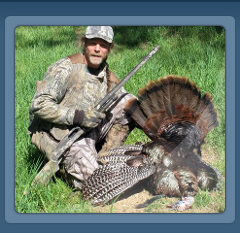 wild turkey hunting camochairproductions