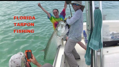 tarpon fishing florida