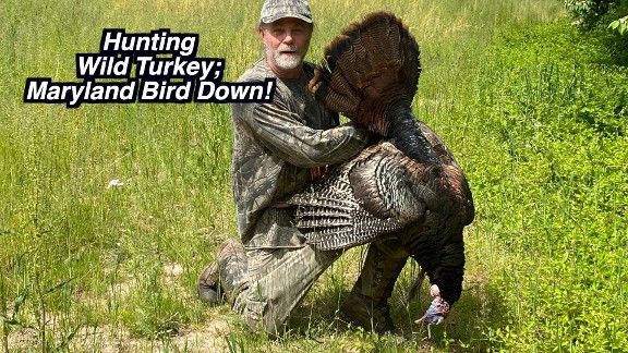 turkey hunting