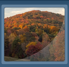 fall